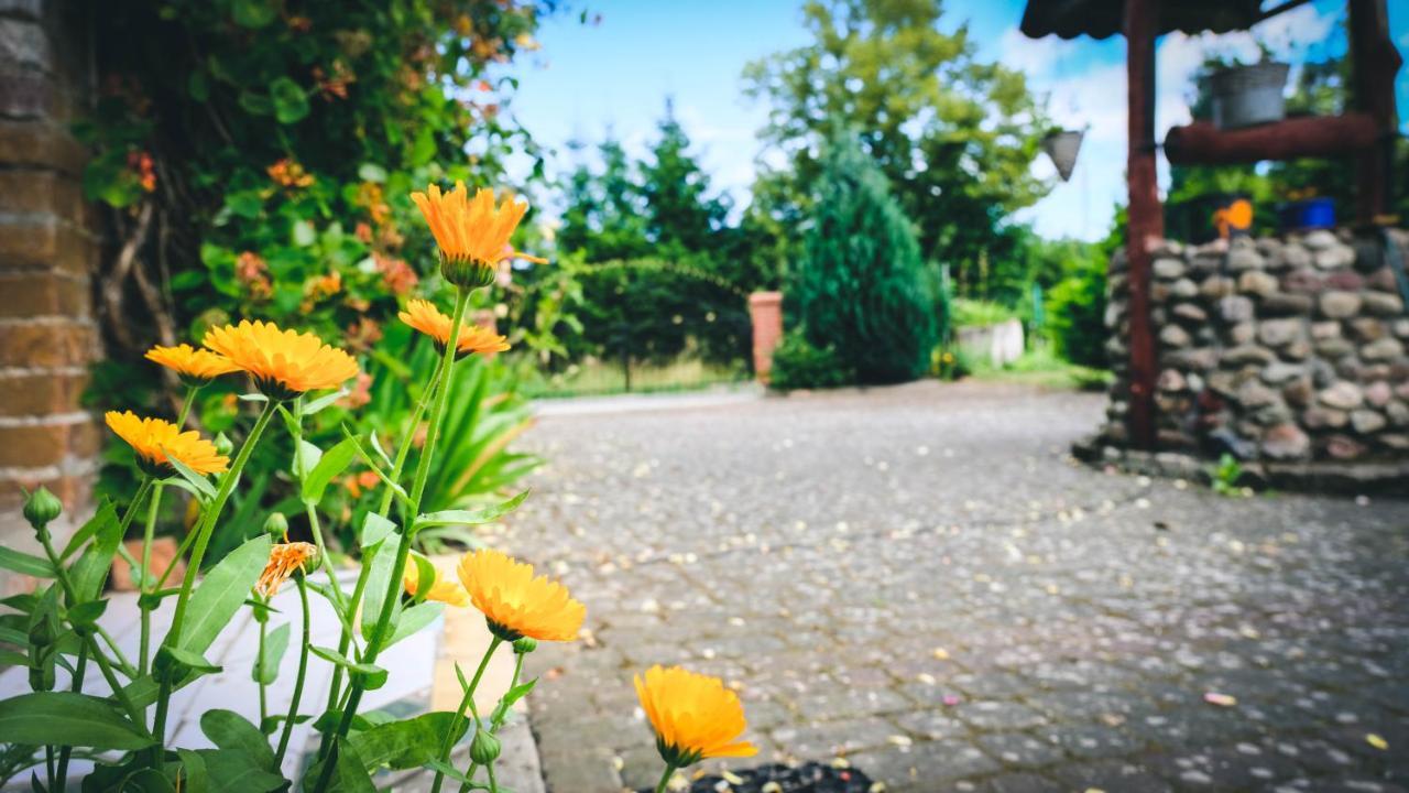 Chata Na Koncu Swiata Czaplin Maly Exterior foto