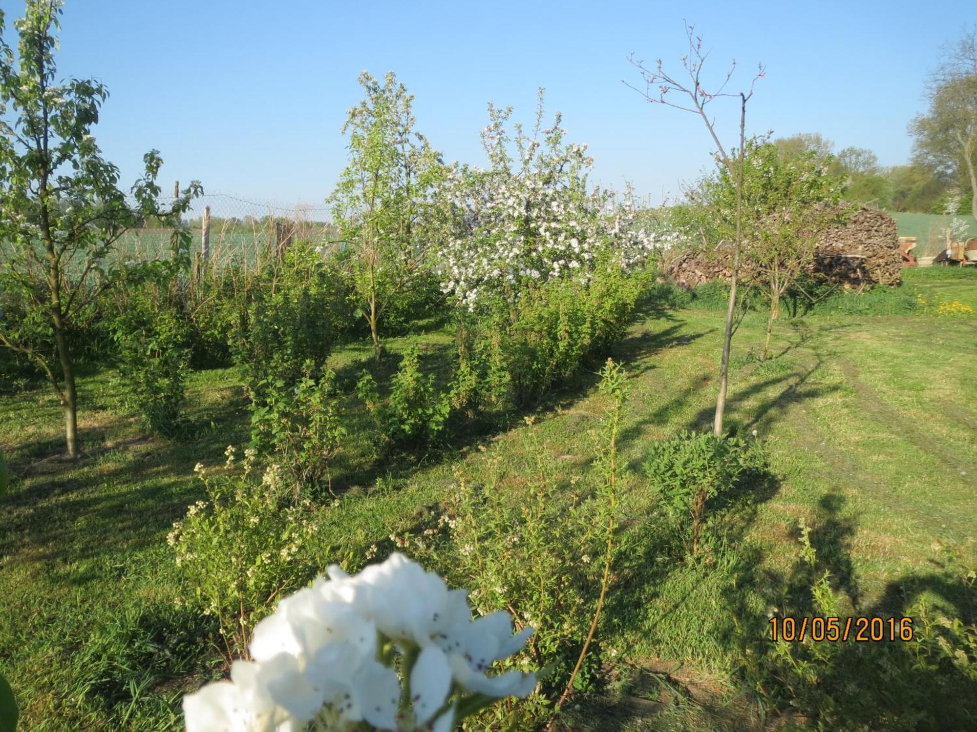 Chata Na Koncu Swiata Czaplin Maly Exterior foto